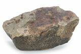 Chondrite Meteorite ( g) - Western Sahara Desert #285381-1